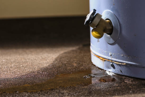 Best Fire Damage Restoration  in Prieville, NC
