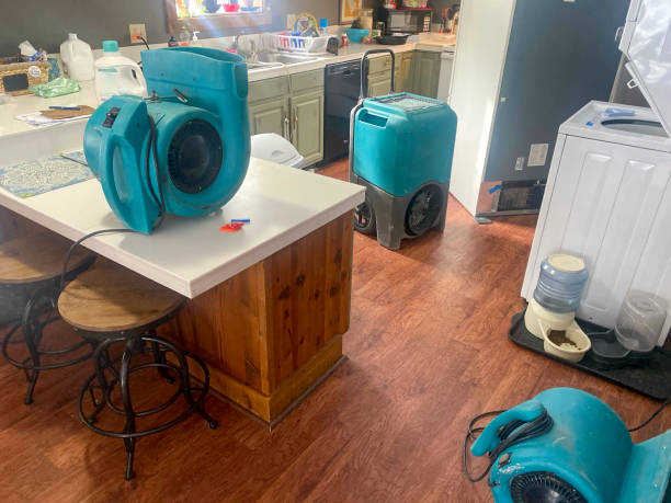 Best Commercial water damage restoration  in Prieville, NC
