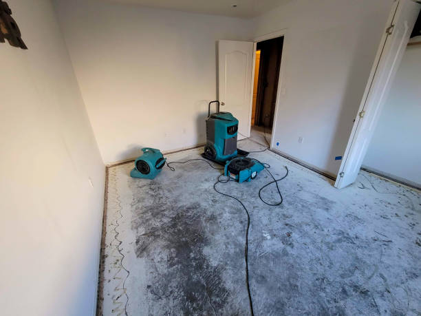 Best Flood damage cleanup  in Prieville, NC