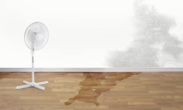 Fire Damage Restoration in Princeville, NC
