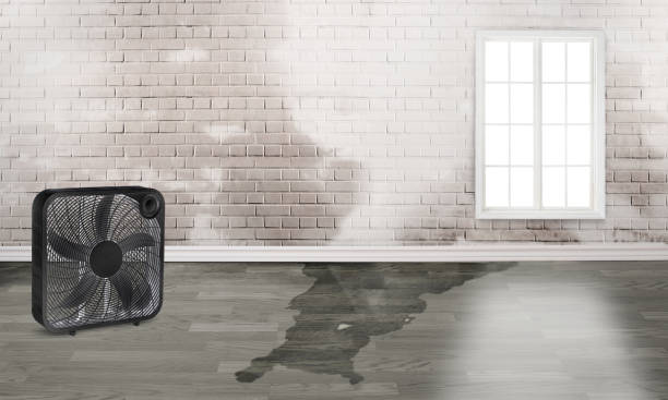 Professional Water damage restoration in Princeville, NC