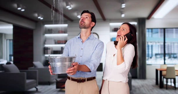 Best Water damage restoration mold remediation  in Prieville, NC