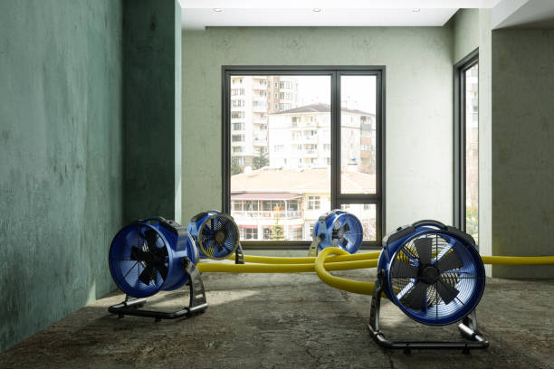 Best Water damage restoration near me  in Prieville, NC