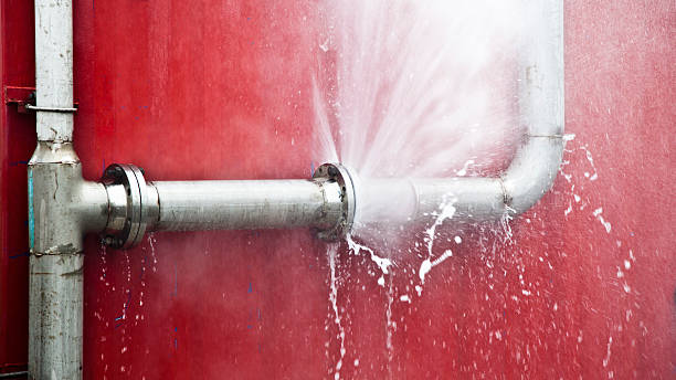 Best Water damage restoration near me  in Prieville, NC